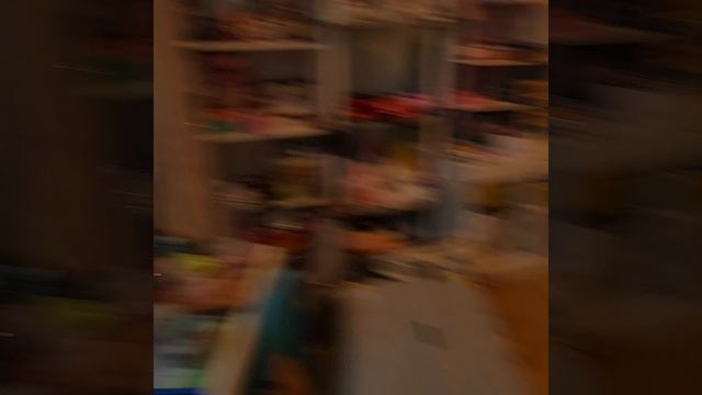 1000002600.mp4