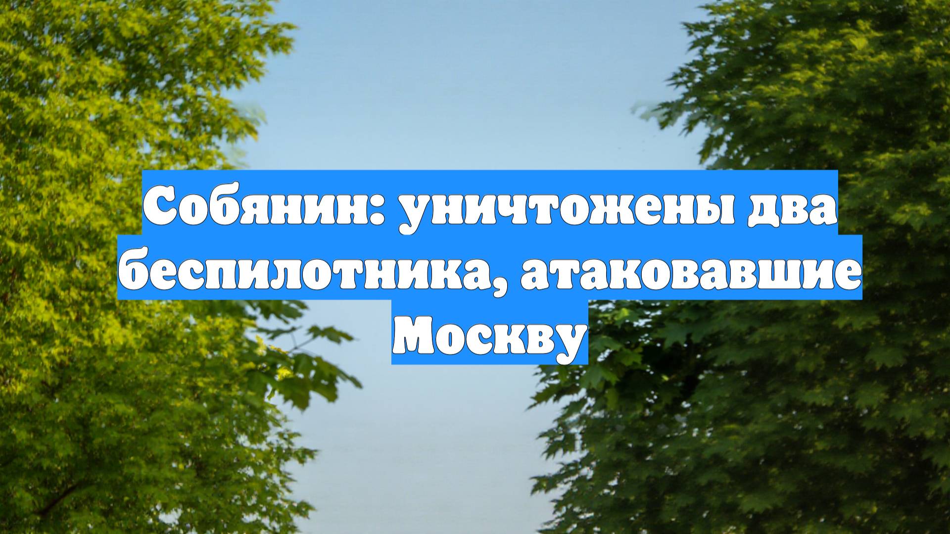 Собянин: уничтожены два беспилотника, атаковавшие Москву