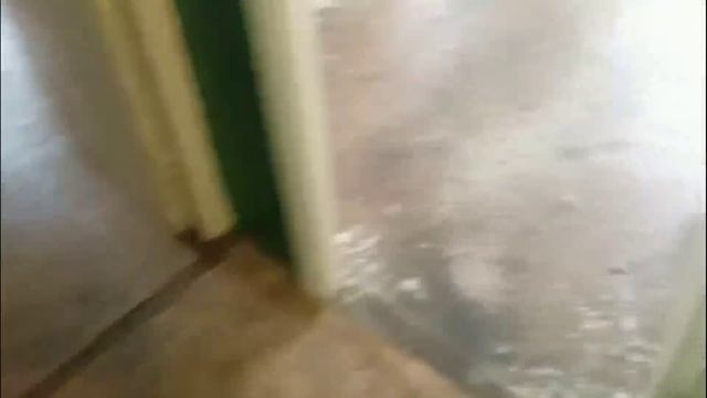 Квартира 195 Чертановская 06.25