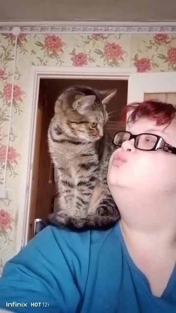 #безкотаижизньнета #любимица #хочувреки