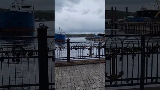 1000019713.mp4