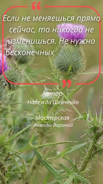Будь честен!