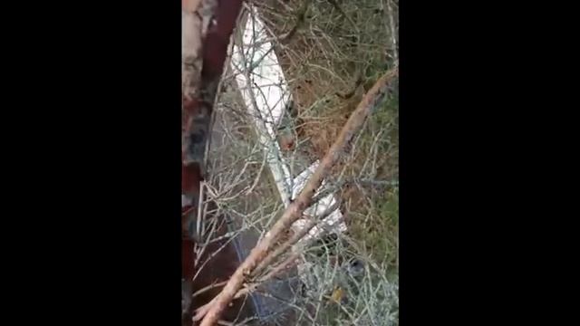 ПРЯТКИ от байки часть вторая