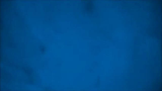 Такер совм. Farius -Дождь