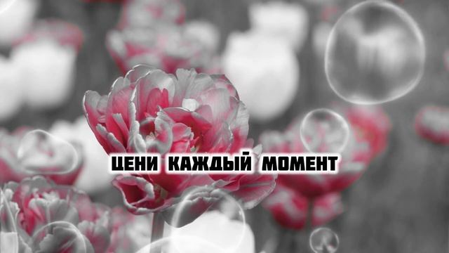 Цени каждый миг…