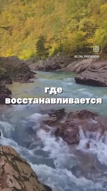 Путешествие в Алтай Подробности в шапке профиля #алтай #психология  #travel