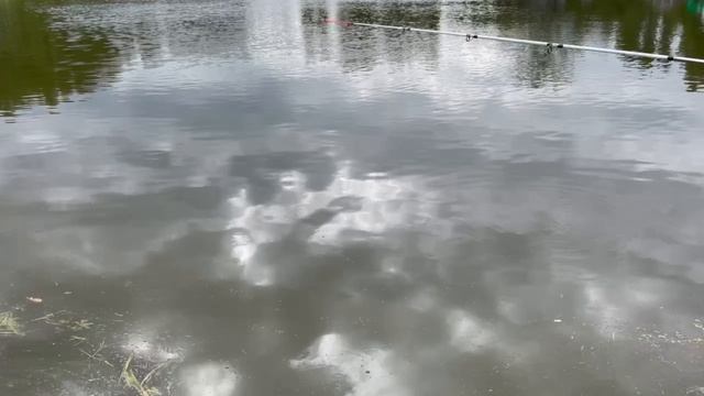 1000091283.mp4