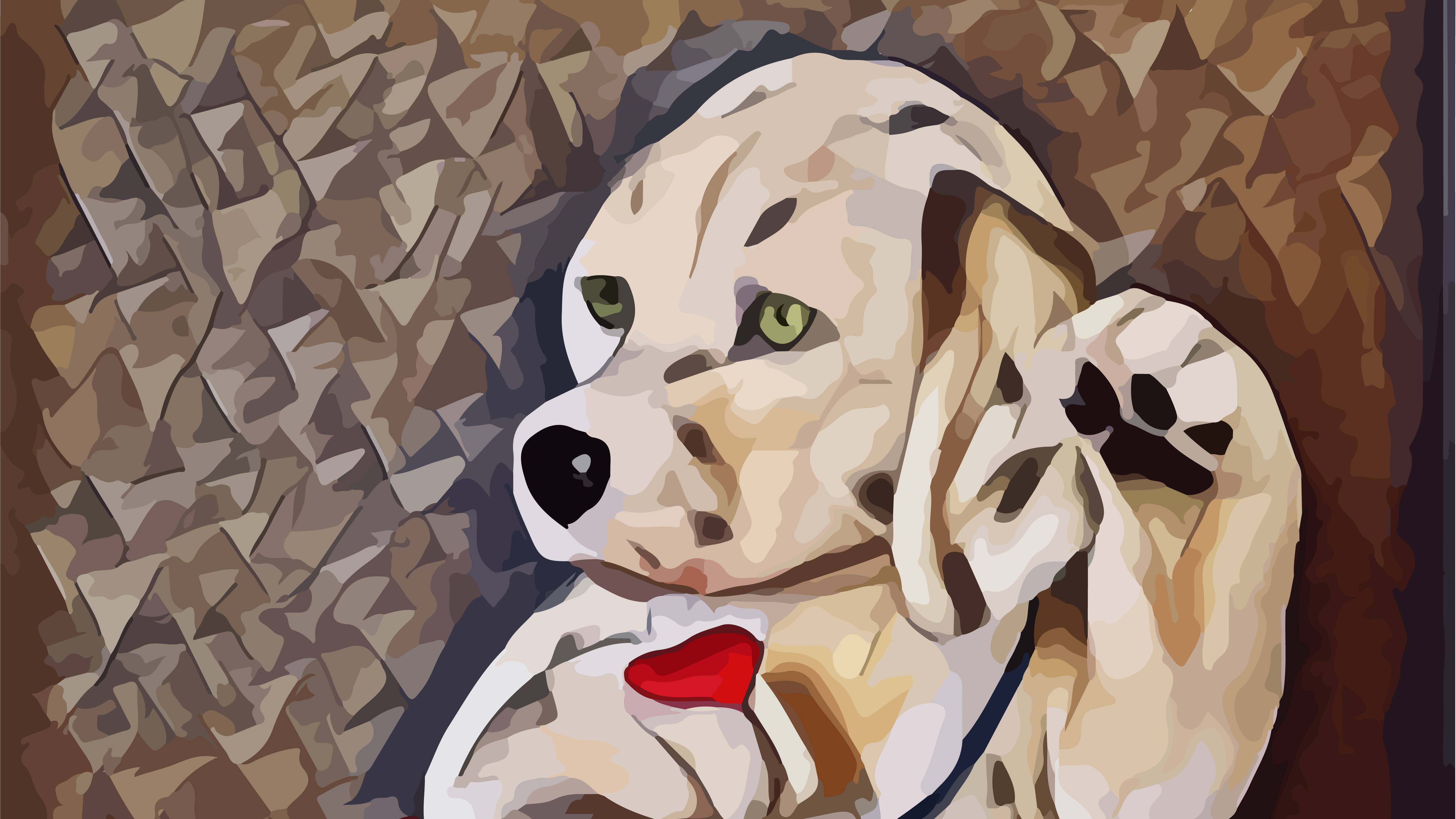 Dalmatian_video