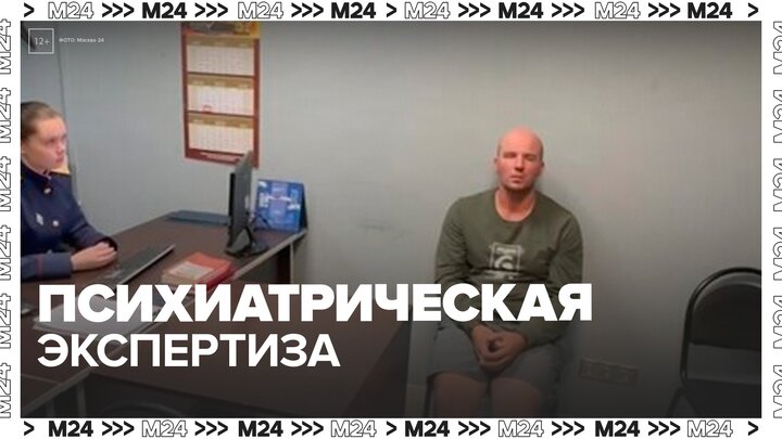 Напавшему на ребенка в Шереметьево назначили экспертизу - Москва 24