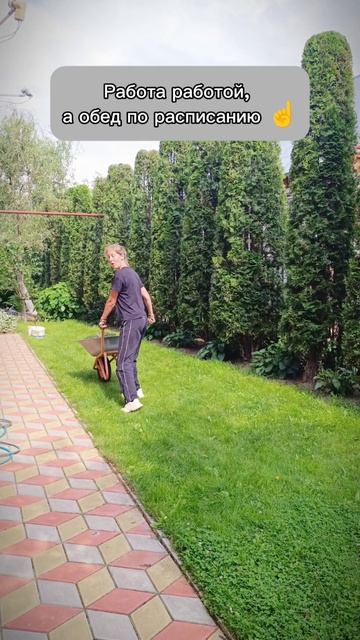 Обед по расписанию