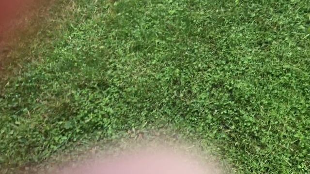 Видео как я летаю на качелях