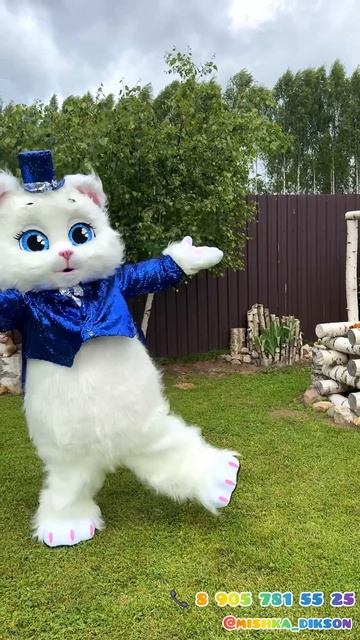 Котик / Зайка 8 905 781 55 25