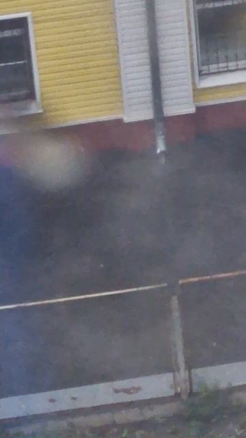 Типичная погода летом