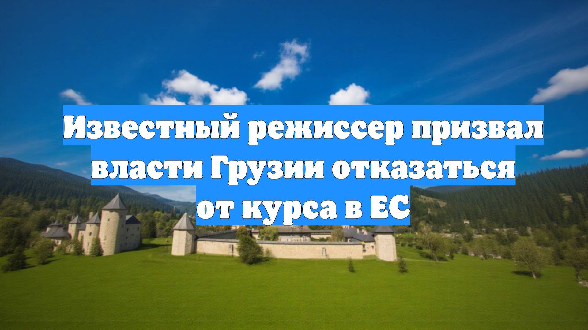 Известный режиссер призвал власти Грузии отказаться от курса в ЕС