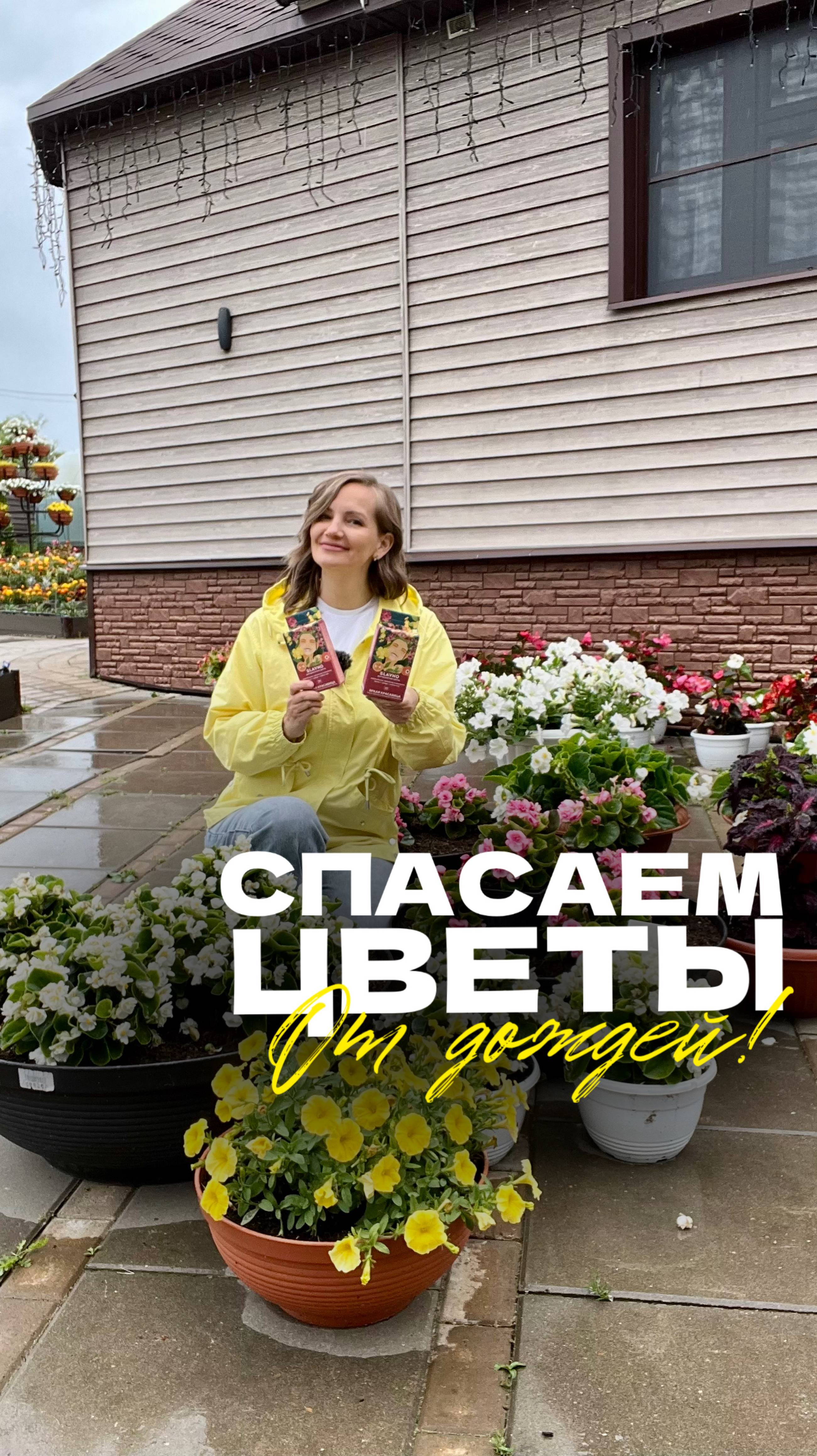 🌧 Как подкармливать цветы в дождливое лето?