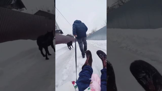 День рождения мамы Ковчега Анны Маленковой. "Тарасик и команда", приют в ТиНАО, Москва