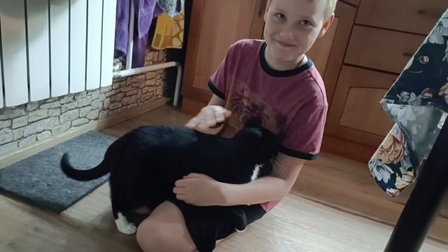 мы любим нашу кошку