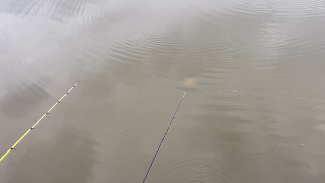 1000091171.mp4