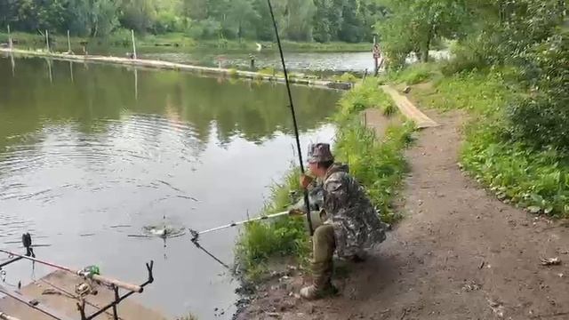Утро поимка