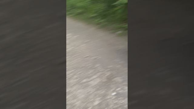 1000004796.mp4