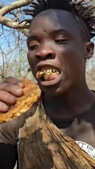 Племя Африки добывает медоносные соты диких пчёл