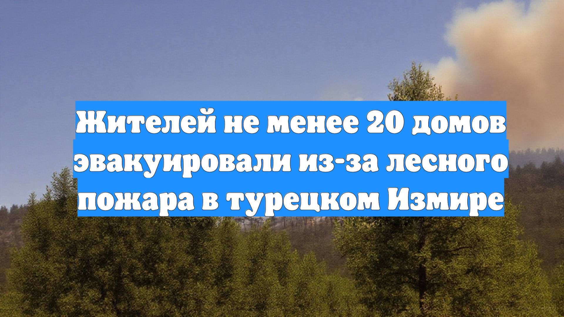 Жителей не менее 20 домов эвакуировали из-за лесного пожара в турецком Измире