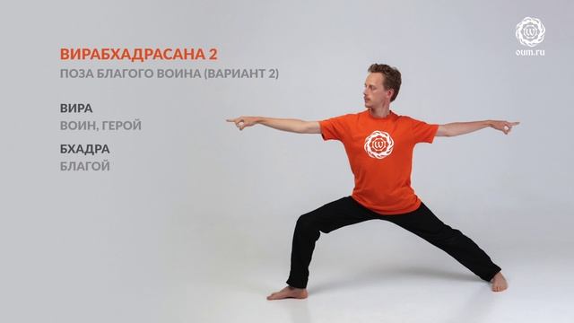 Учим асаны йоги. Часть 2