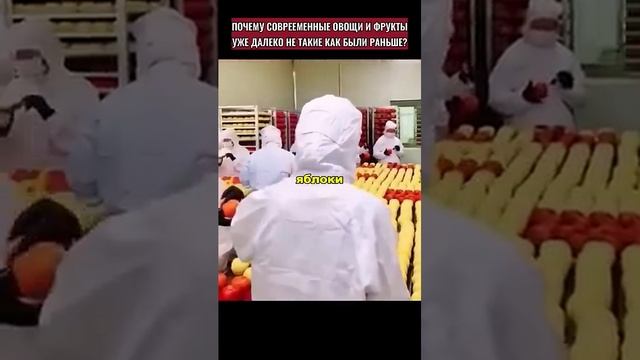 Овощи из Китая