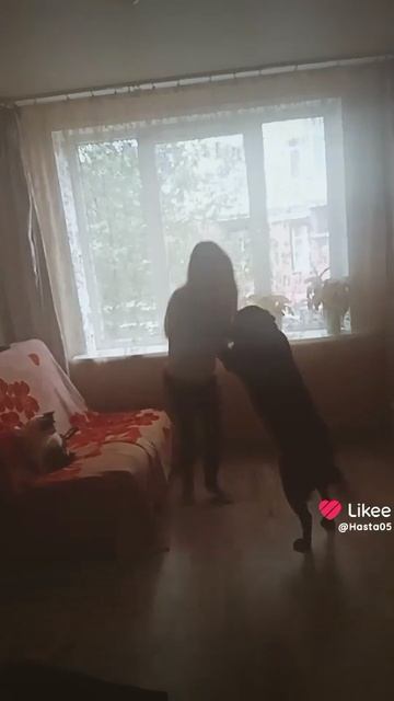 по Рубан с para benz на skaty усей и пасмурная погода не помеха 😀😀😀😉