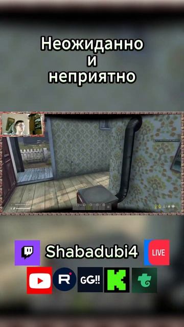 Момент со стрима. Игра: DAYZ