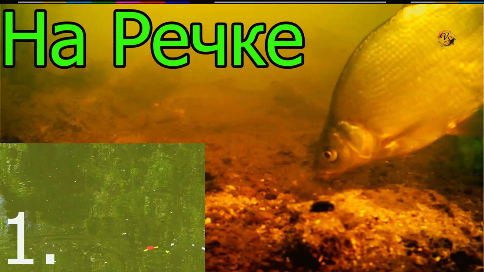 РЫБАЛКА на Речке с Боковым Кивком. Насадка: опарыш, хлеб. Fishing