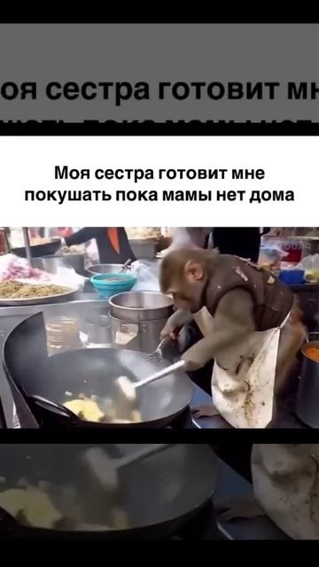моя сестра