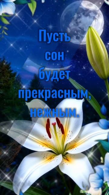 Сладких снов. Музыкальная открытка поздравление.