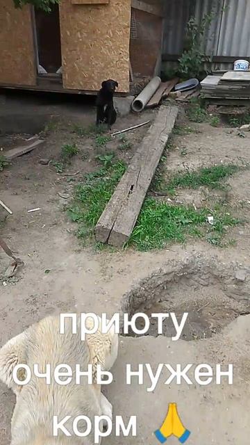 +7985 193 0027