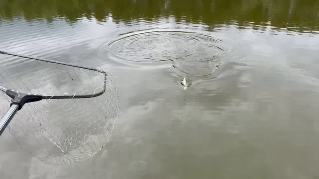 1000091228.mp4