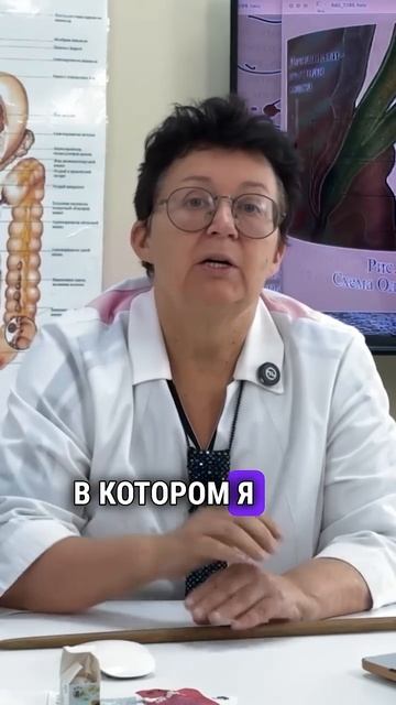 Изучение строения организма- желчный пузырь