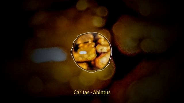Caritas - Abintus (Official video)  #pop #popmusic  #music #caritas #abintus