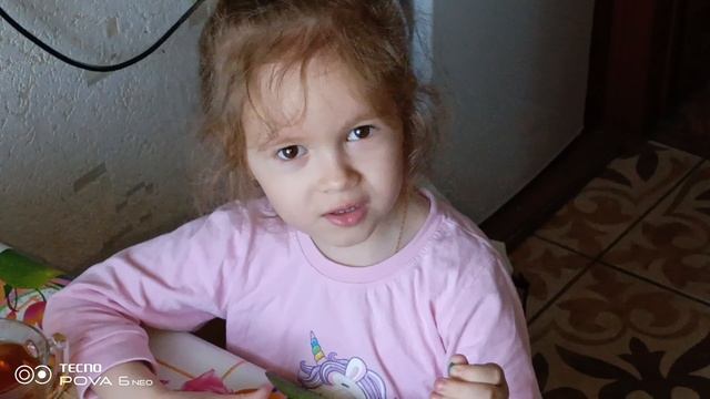 Домашнее видео