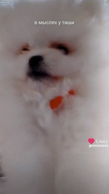 1000130481.mp4
