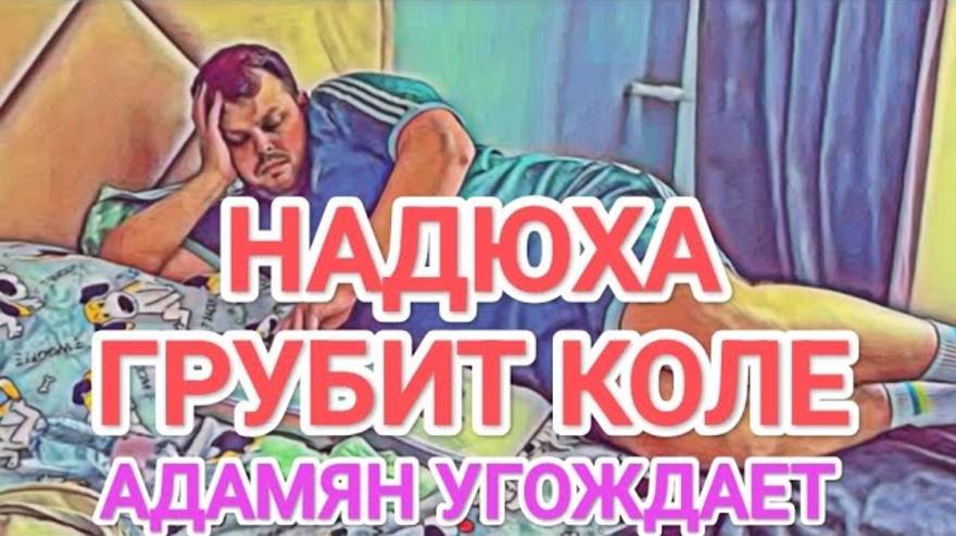 Обзор- Самвел Адамян ПРОГНУЛСЯ ПОД КОЛЮ - НАДЮХА ОХАМЕЛА - КОЛЯ СКОРО ОПОРОСИТСЯ