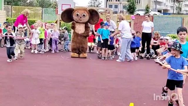День Олимпиады!