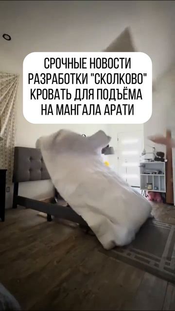 Поддерживаем вас Юмором каждый день!