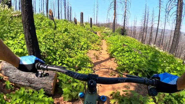 The NEXT BIG THING in California is here   Mountain Biking Mt. Hough