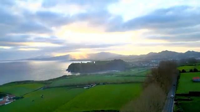 Голоса леса: песни и звуки животных, ч.8