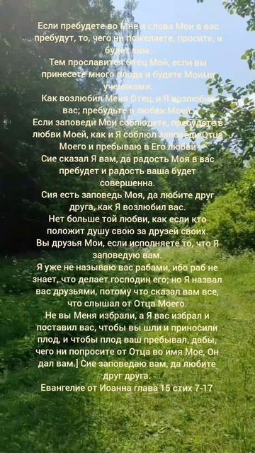 Евангелие от Иоанна глава 15 стих 7-17