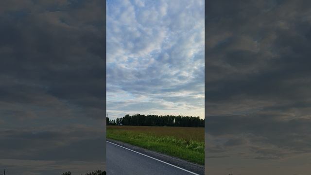 Тренировка 60км