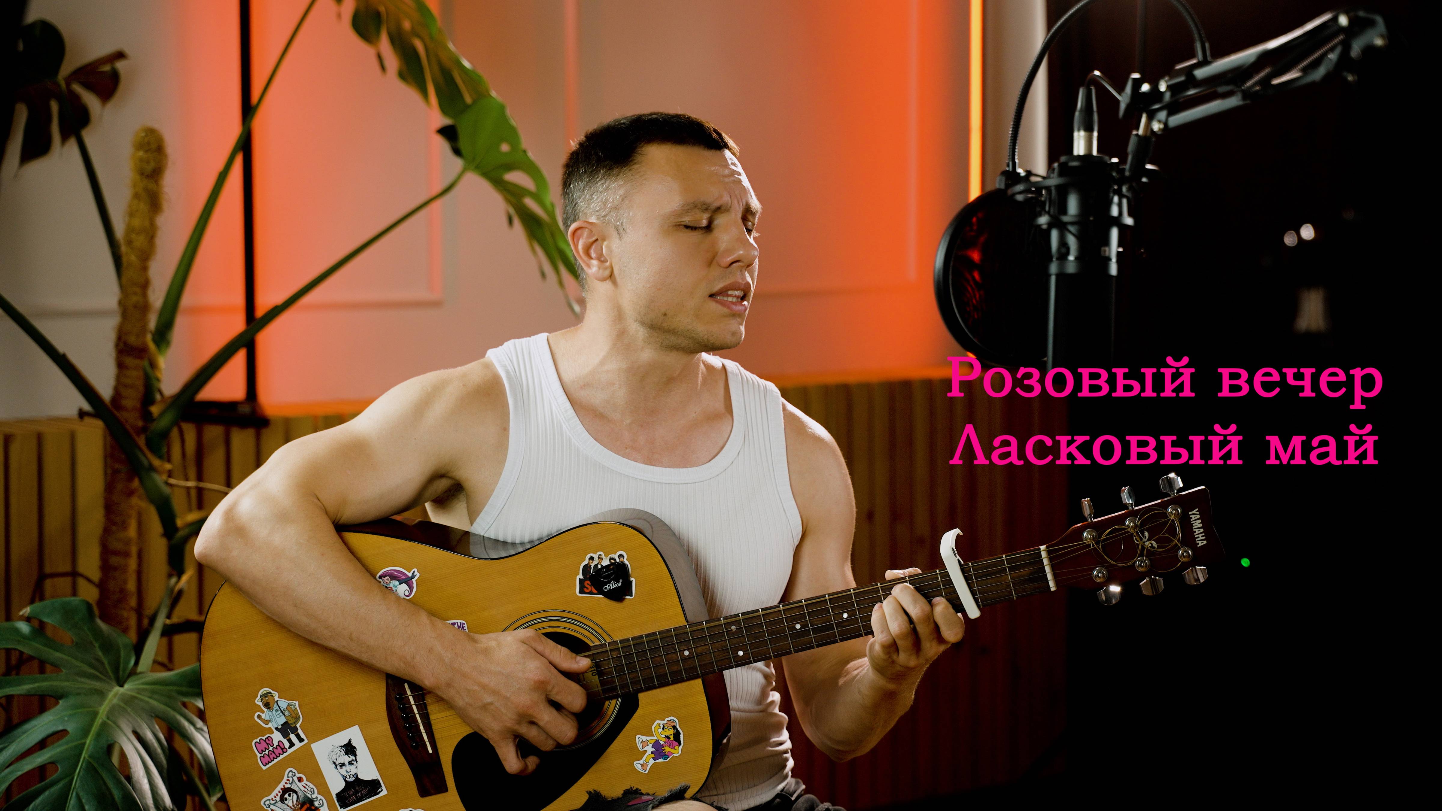 Розовый вечер - Ласковый май.