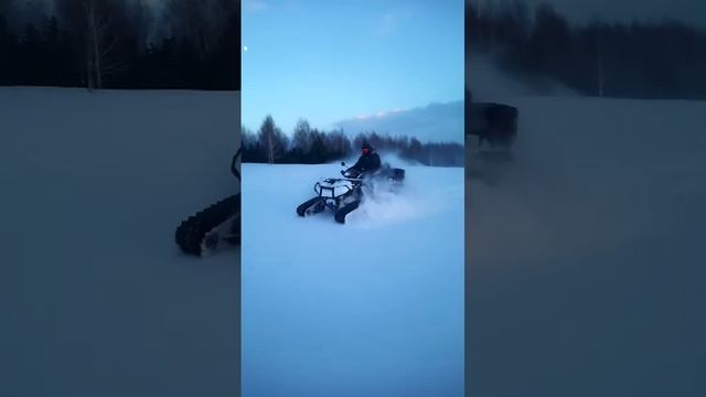 VID-20250111-WA0010