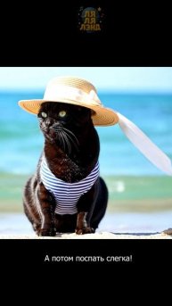 МУРКА МОРЯЧКА