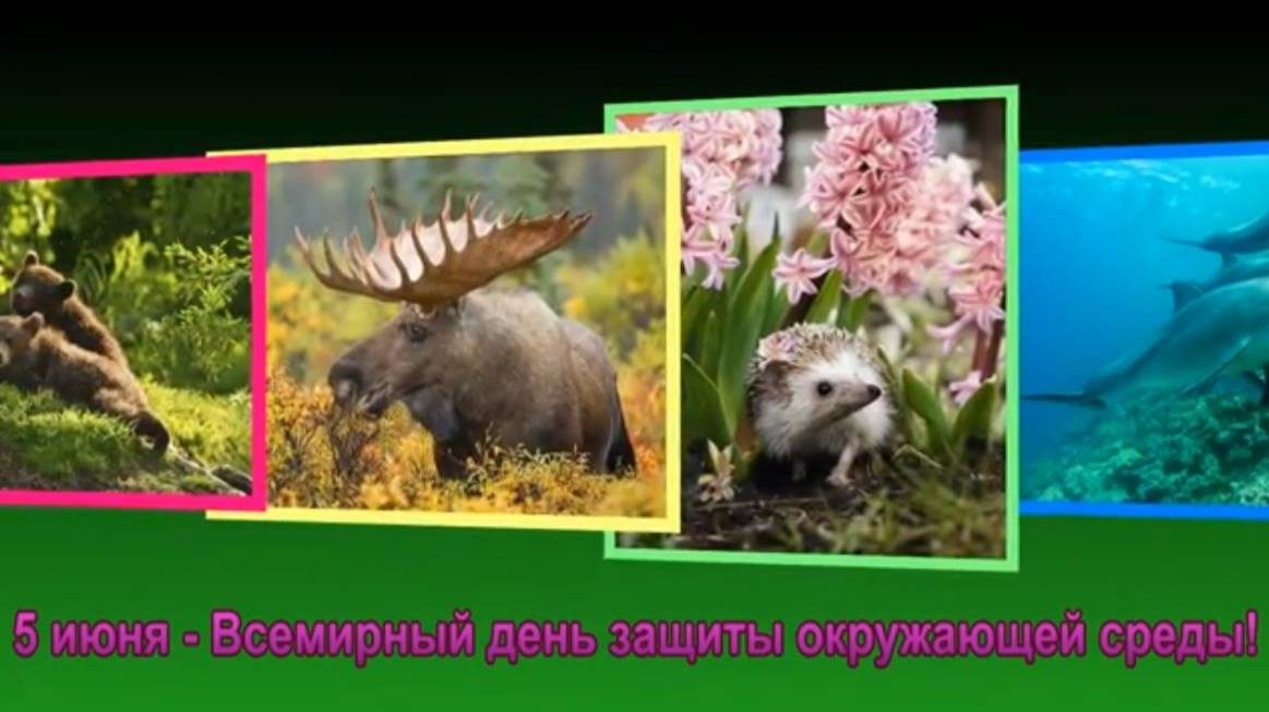 Чистая планета - чистая жизнь: к Всемирному дню защиты окружающей среды